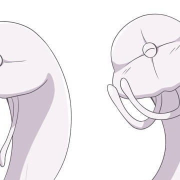 シドニアの騎士 ヒロイン