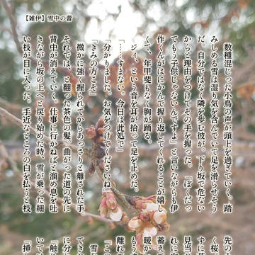 【雑伊】雪中の蕾