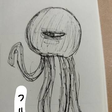 クラゲ