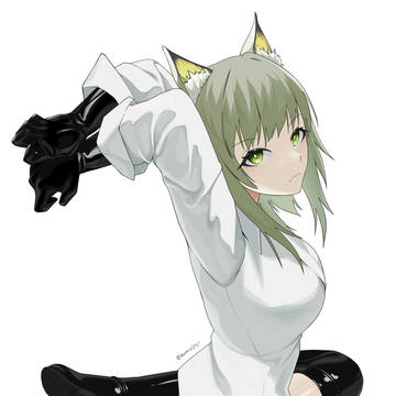 黒猫