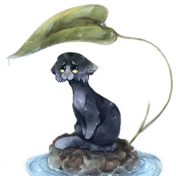 Sad cat