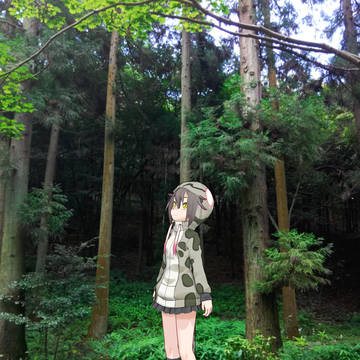 見上げるハブ