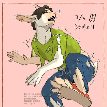 ウサギTF
