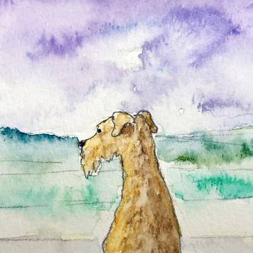 犬と諏訪湖
