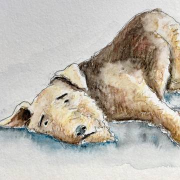 怠惰な犬