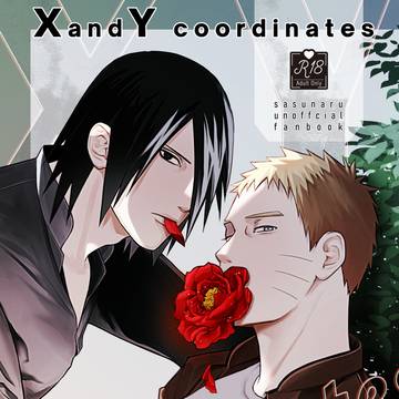 【web再録】 X and Y coordinates