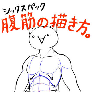 腹筋(シックスパック)の描き方