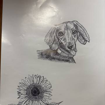 犬とひまわり　模写