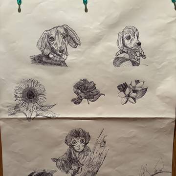 ボールペン画