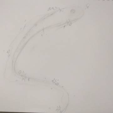 魚...?(´・ω・`)