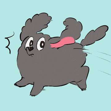 走りながらおやつを目撃して思考停止する犬