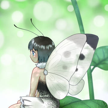 モンシロチョウの女の子