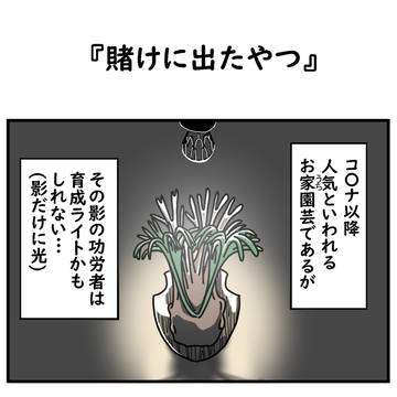 賭けにでたやつ