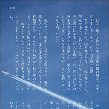 箱庭