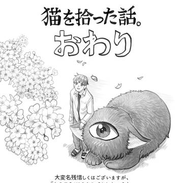 猫を拾った話。おわり