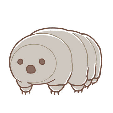かわいいクマムシたち