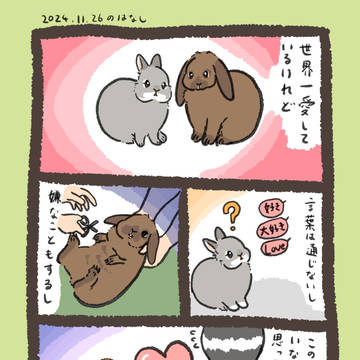 【実録】愛されしうさぎ