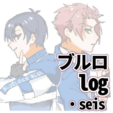 seis log