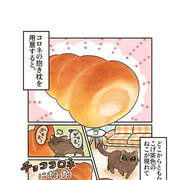 ぎゅむパンねこ