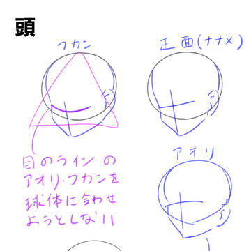 頭と顔についてのまとめ