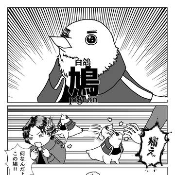 鳩洛軍