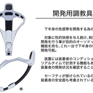 開発用調教具