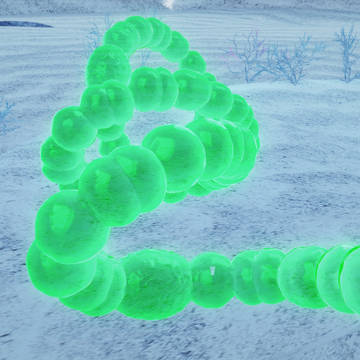 Dolichospermum / Anabaena 藻