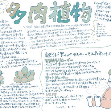お久しぶり新聞2025March