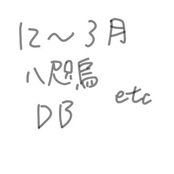 12〜3月  いろいろ