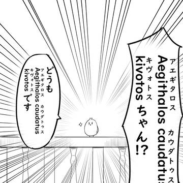 Page 4 thumbnail