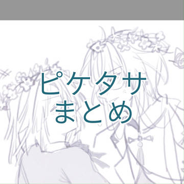ピケタサまとめ