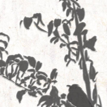 鳥と