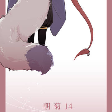 朝菊14