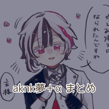aknk夢+α
