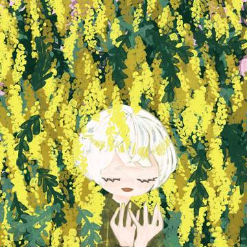ミモザ