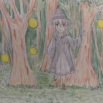 神秘の森