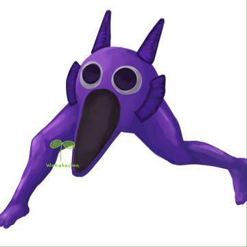 美脚