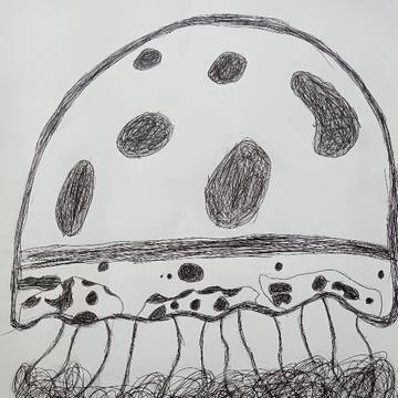 クラゲ