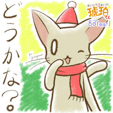 まいにち2まいの琥珀くん 2024年12月分