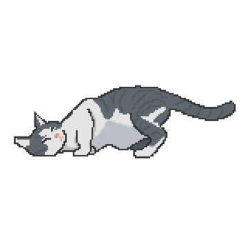 どうした?
