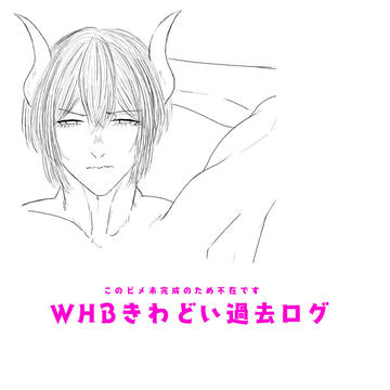 【webオンリー限定公開】WHBキャラクターR18イラスト