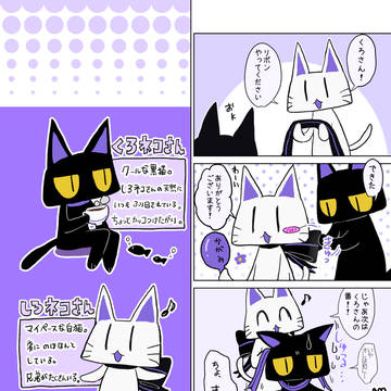 🐈🐈‍⬛🎀