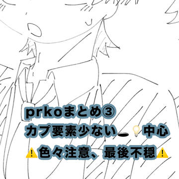 prkoまとめ③