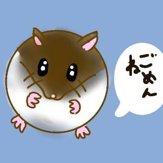 ハムスター