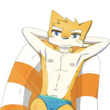An amputated fox 欠損したキツネ