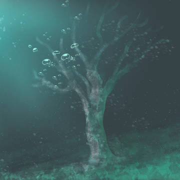 海底の木