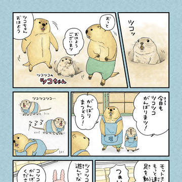 スーパーマーモット
