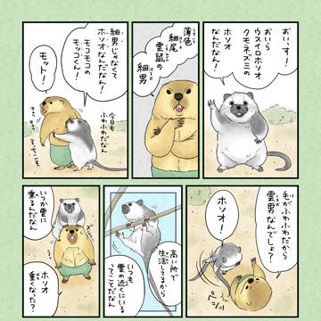 スーパーマーモット