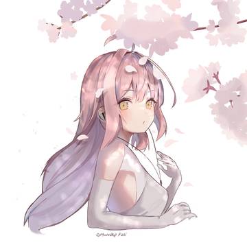 sakura yuki