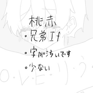 irxs 桃赤 兄弟If